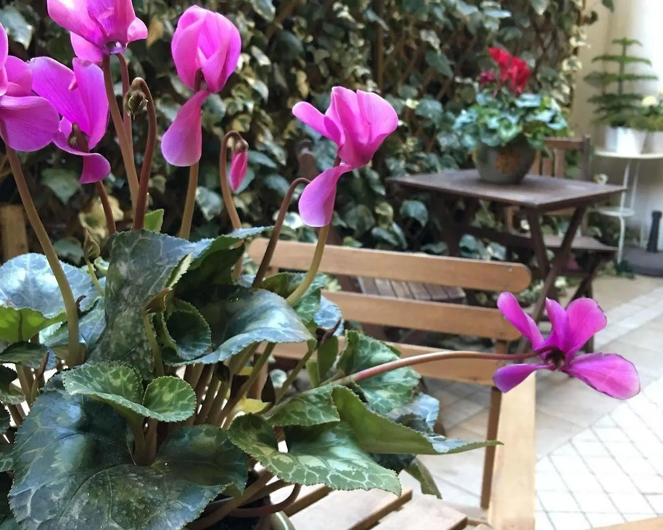 St. John Rome B&B فندق مبيت وإفطار